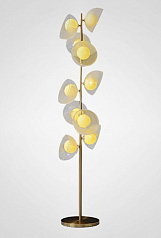 PHYSALIS